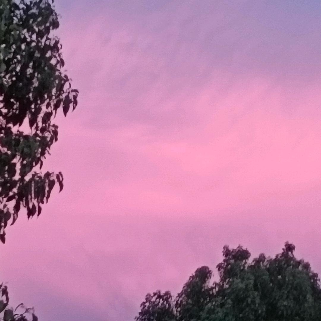 小焱