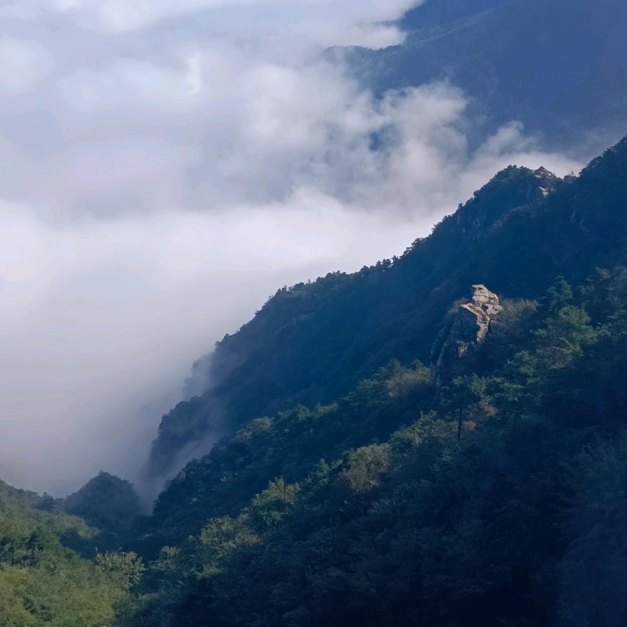 ღ忘᭄记ོ时℘间࿐