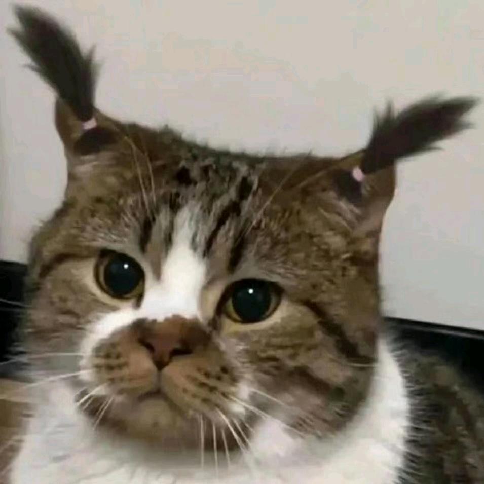 里予初
