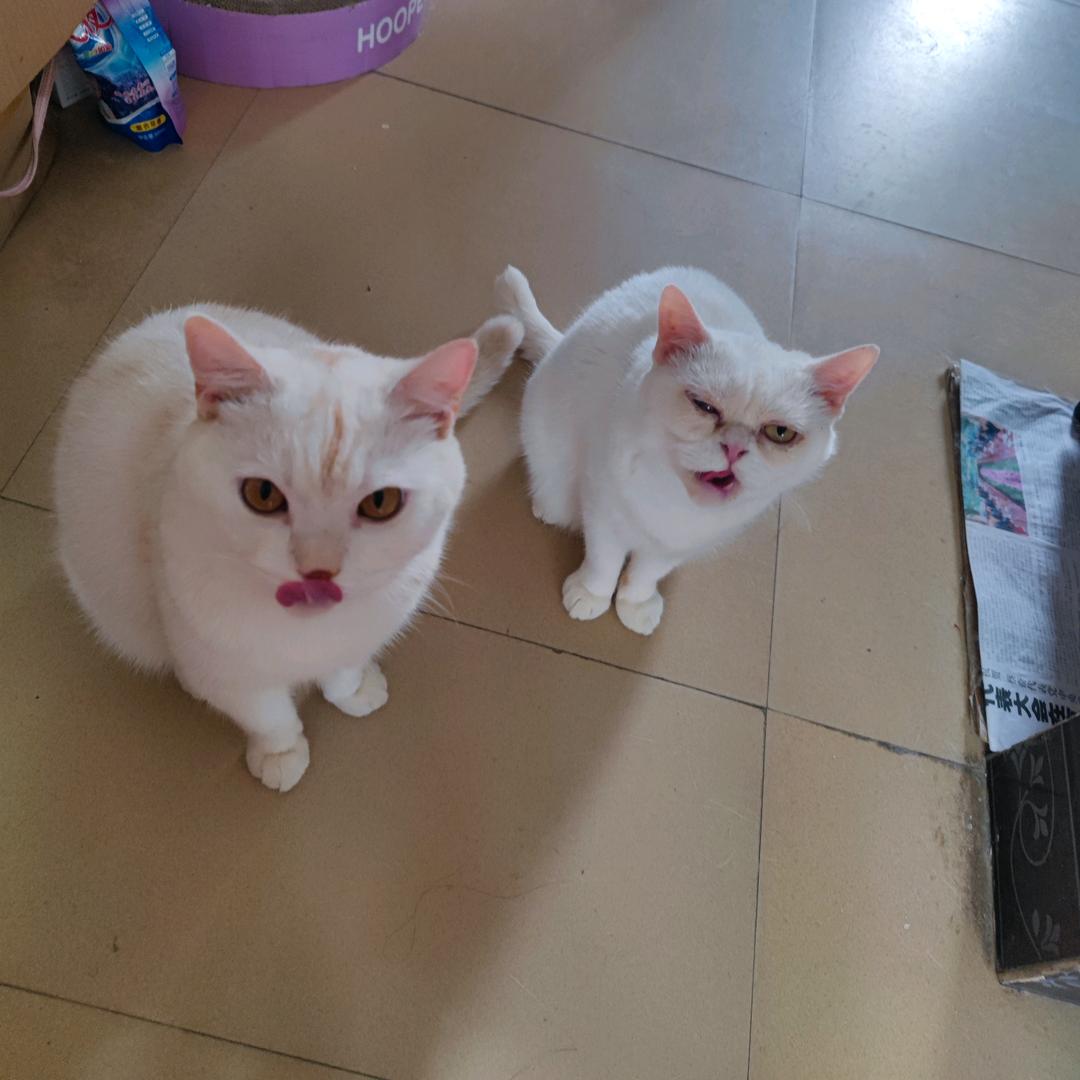 瓜瓜是富婆🌈🌈