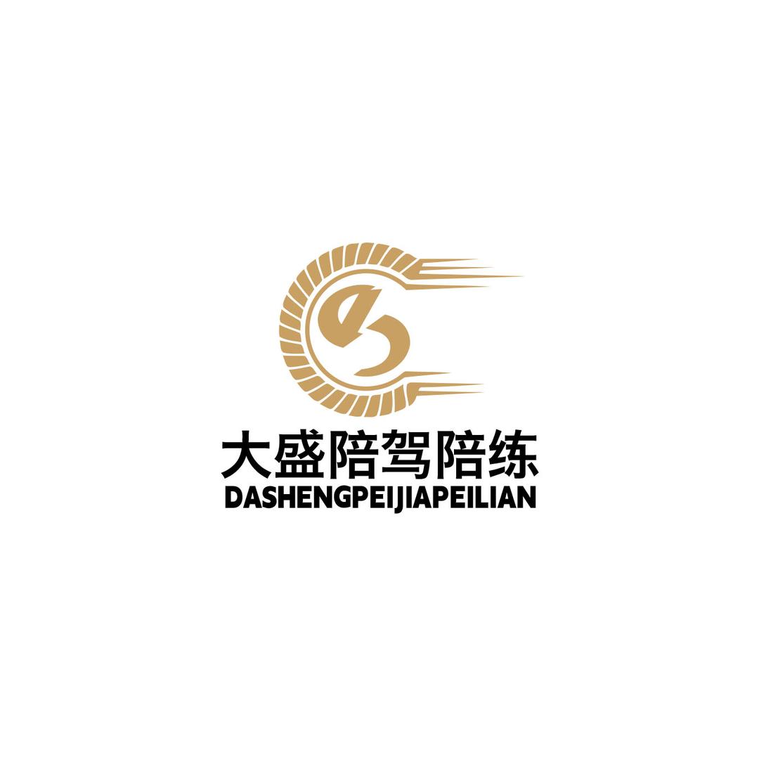 上海大盛陪驾（老盛6）