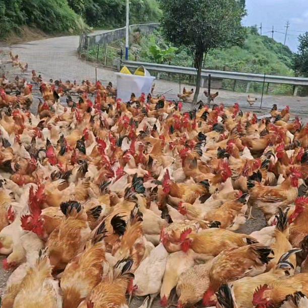 •ᴥ• 运满Ծ‸Ծ乾坤&