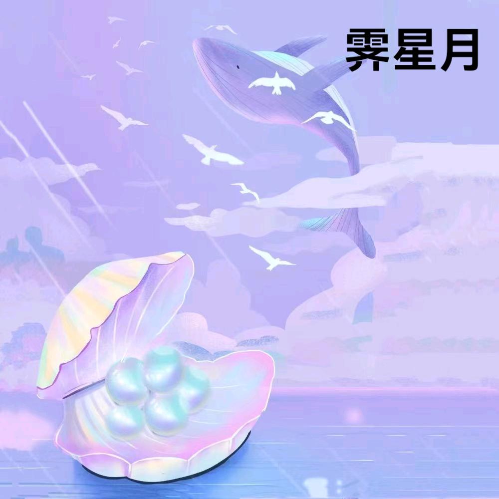 霁星月