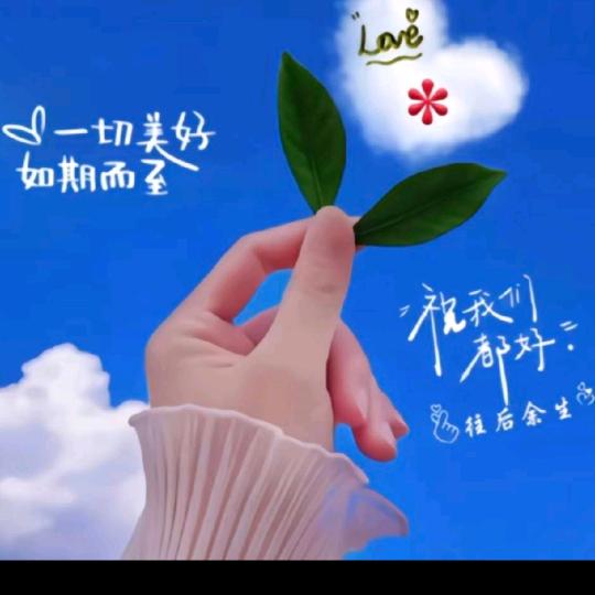 等风初吻