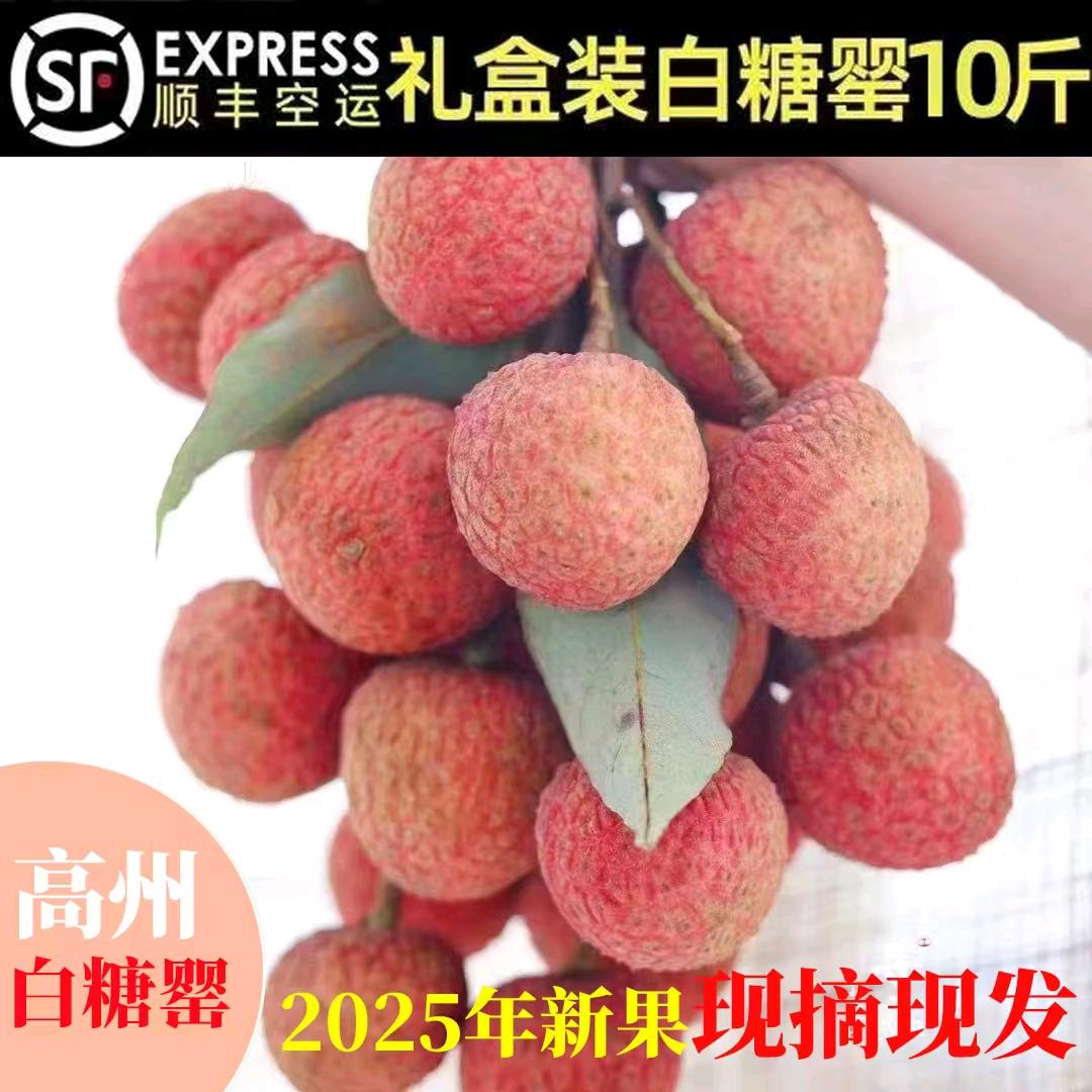 高州根子荔王