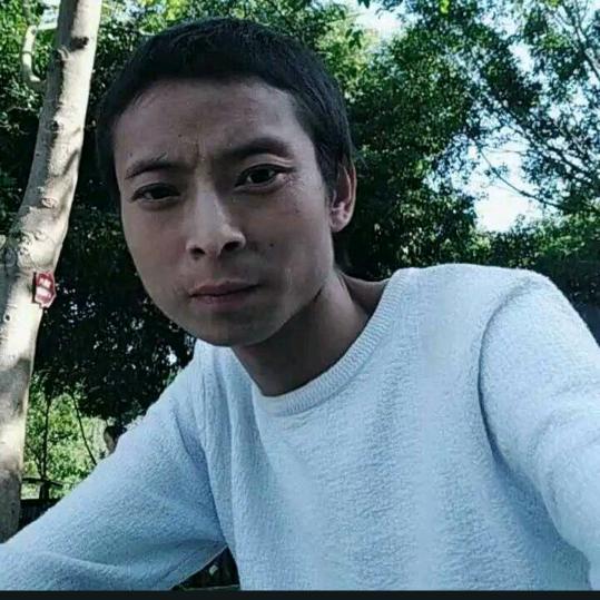 ,照强,阿蛋养蜂