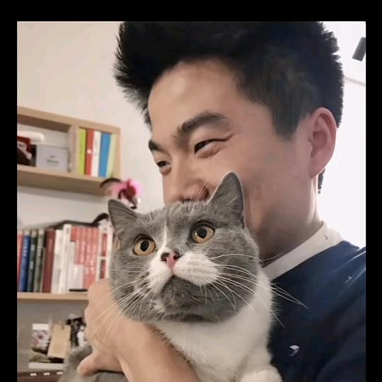 杨头像