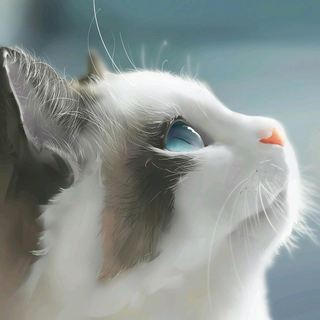 再语