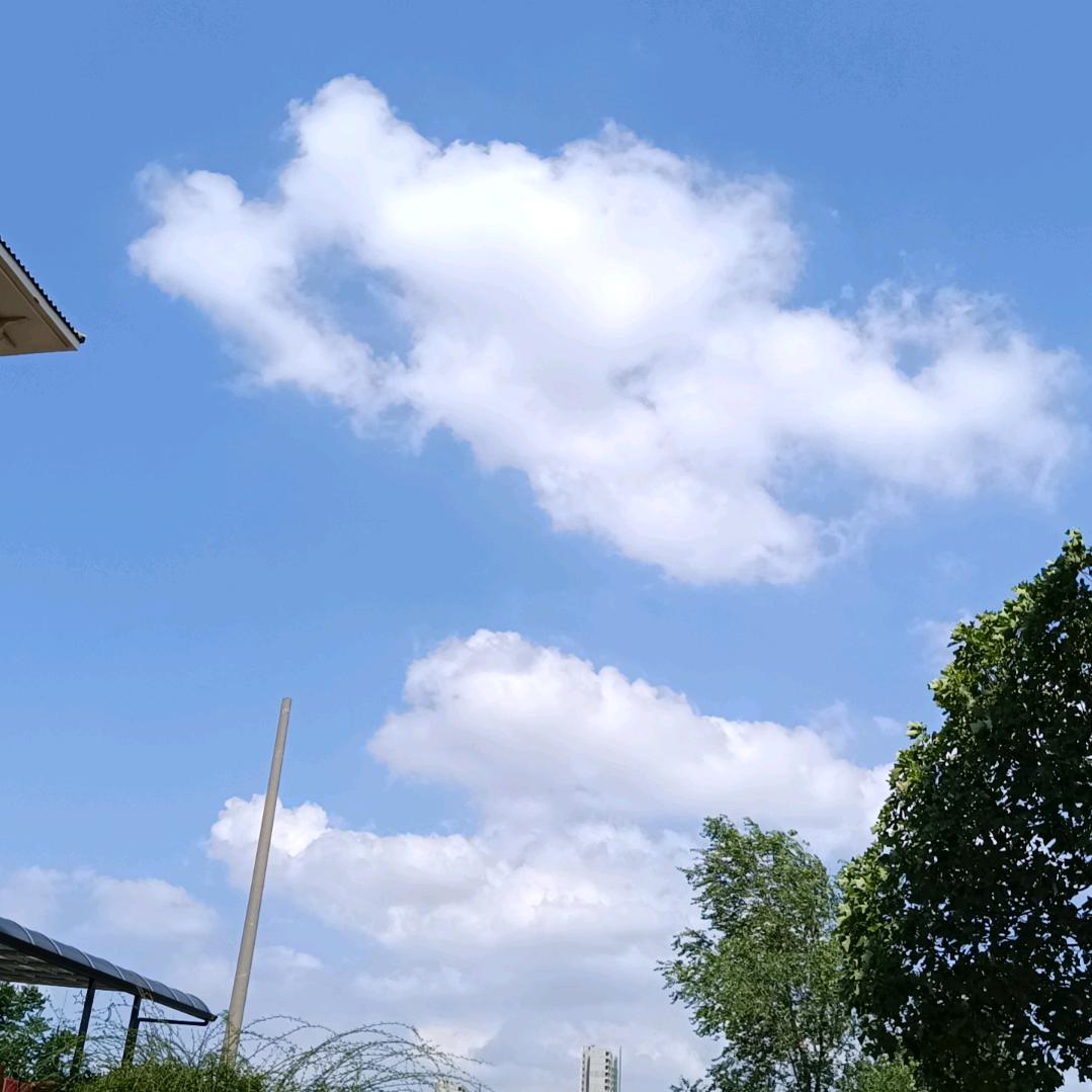 白云苍狗