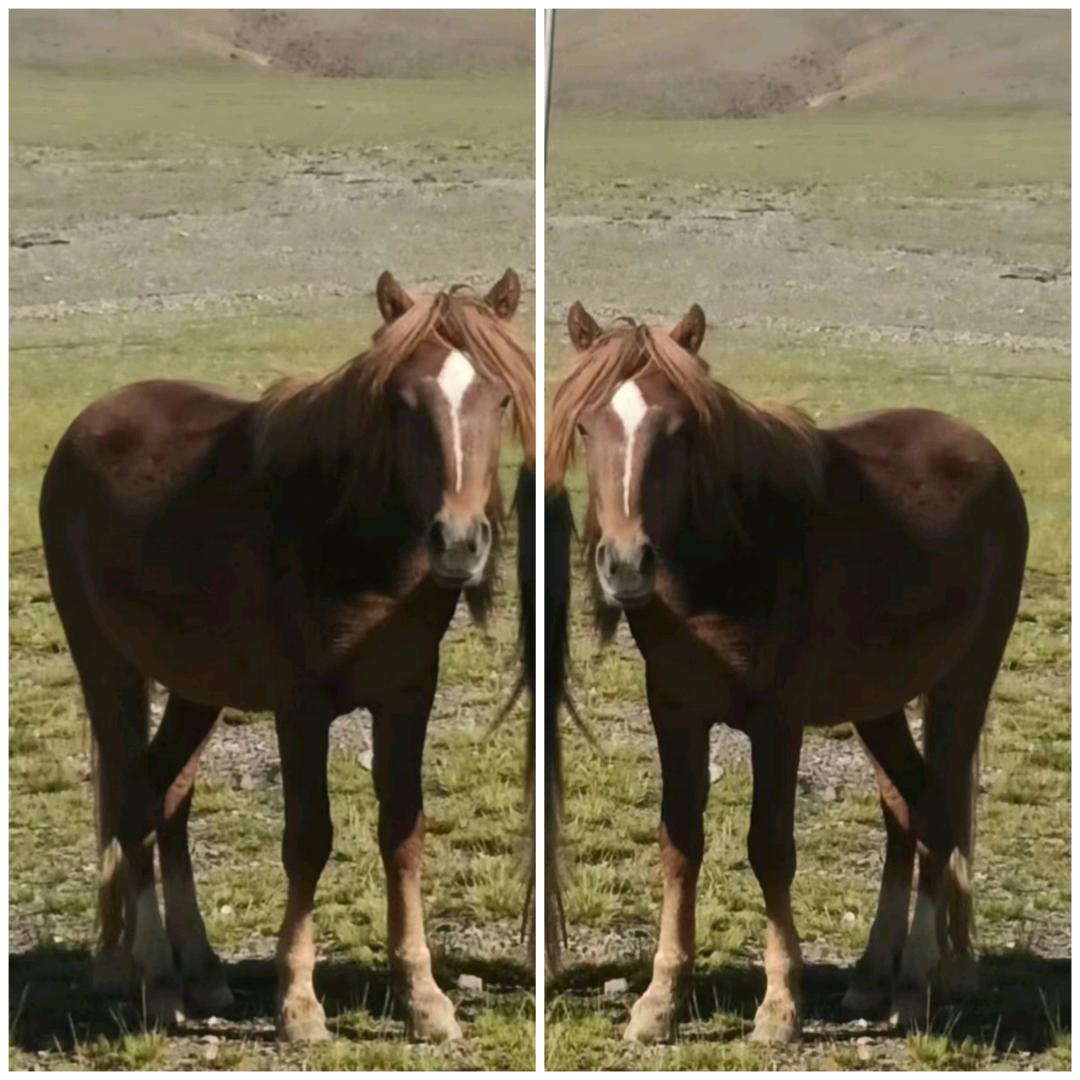1910891131