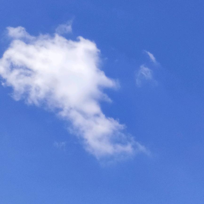 梦里