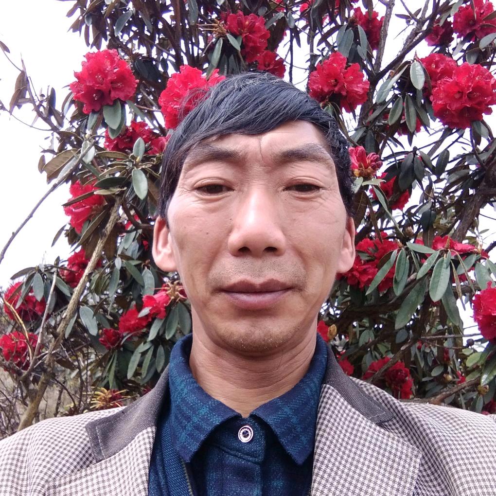 爱你一个