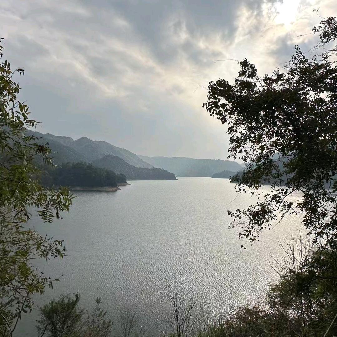 李鸳