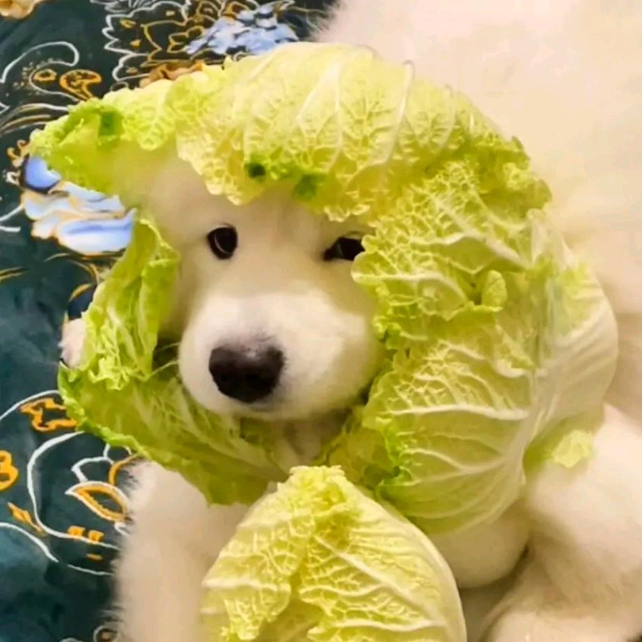 阿里个畅