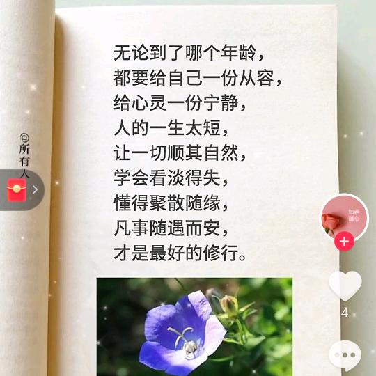 简💧丹💗