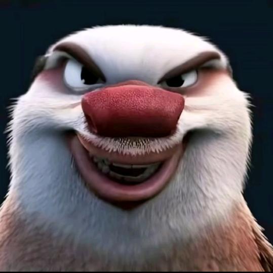 🐻🦅
