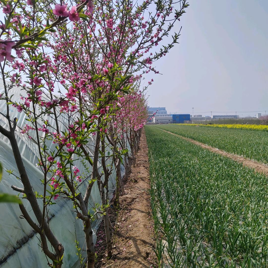 你大爷还是你大爷