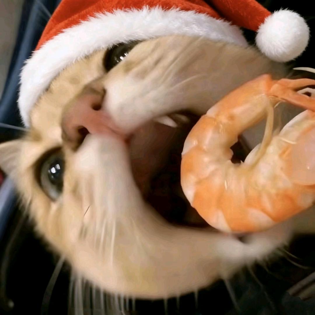 饼干碎碎˶･֊･˶