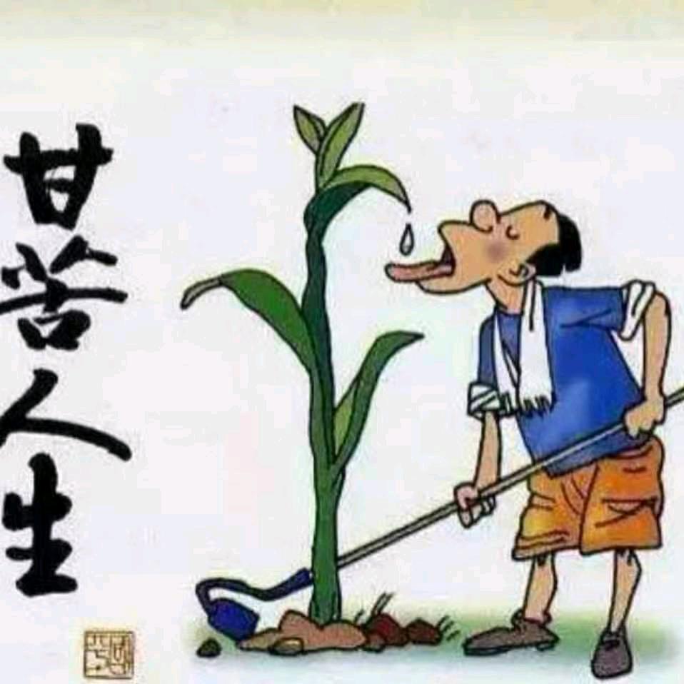 忽隐忽现
