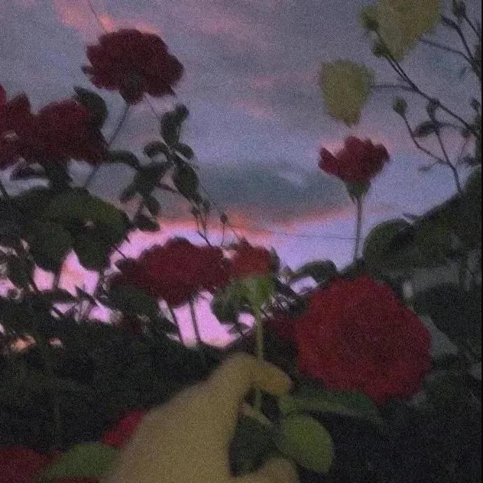 晚风-