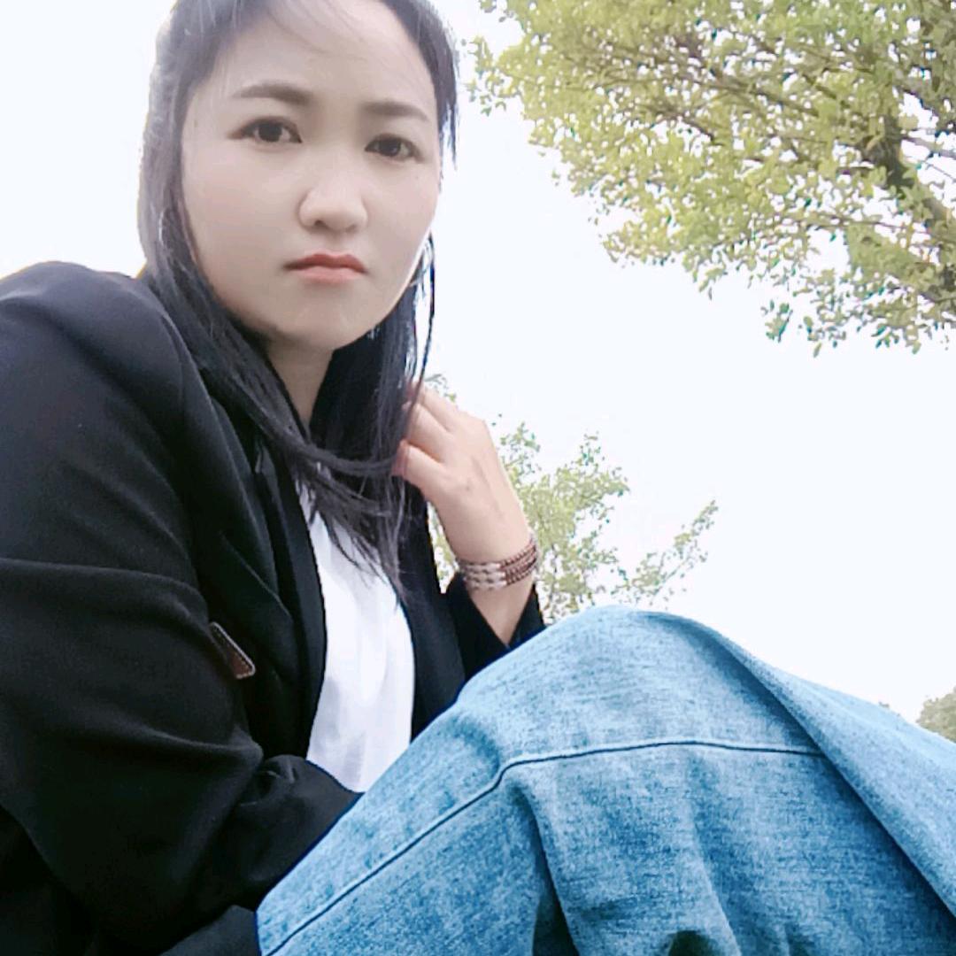 琴