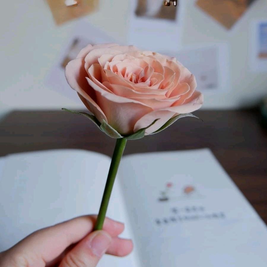 仙艺美容养生马冉