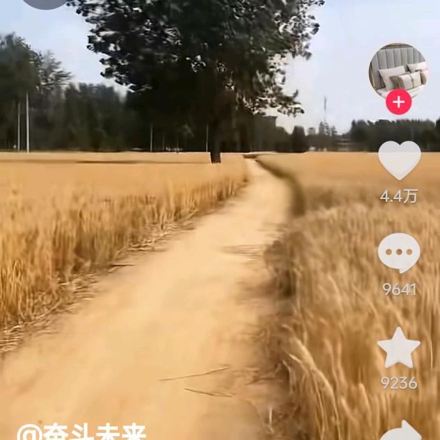 美好的人生***