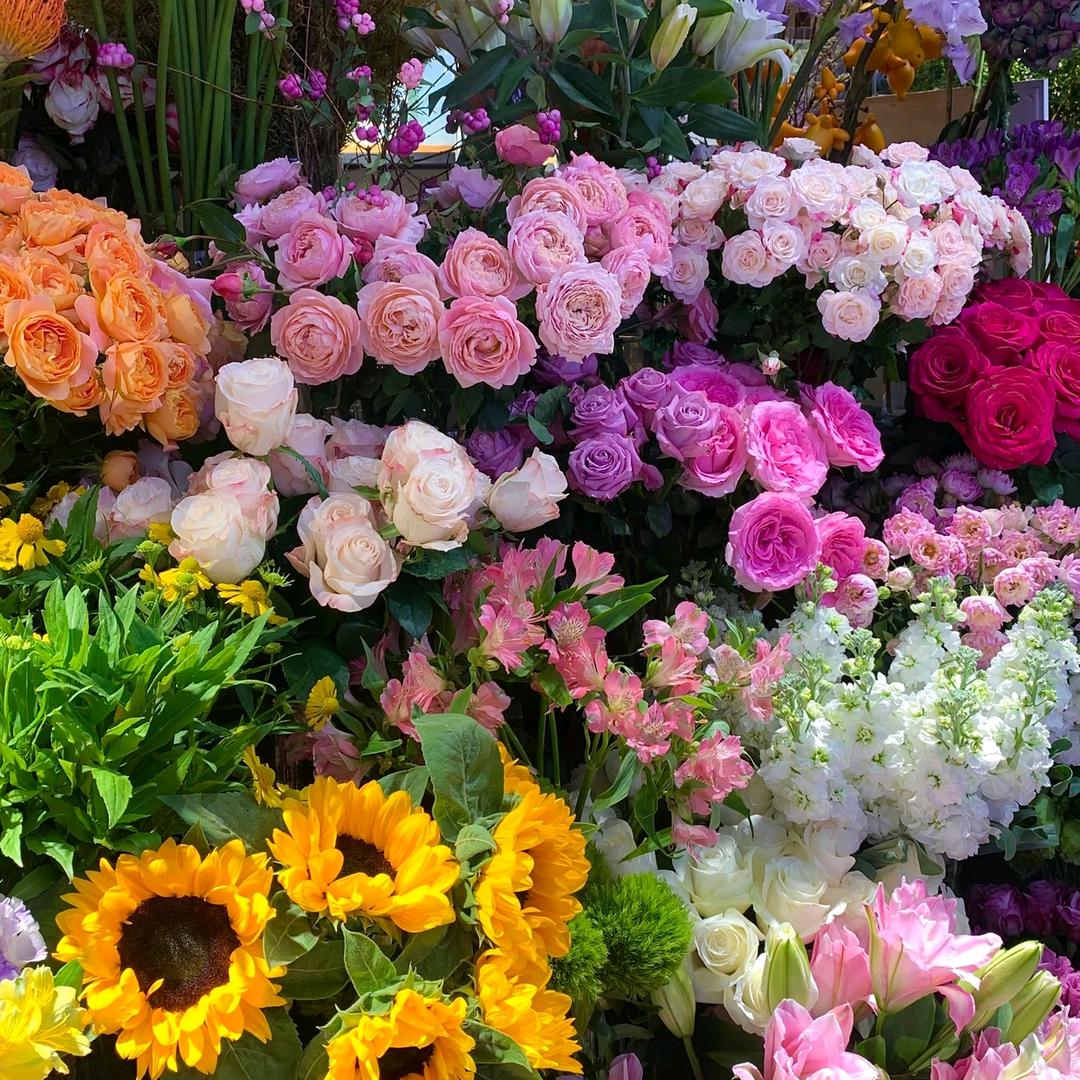 马驹桥花品汇-侯姐