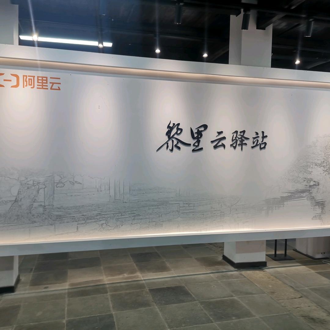 不吃香菜的香菜