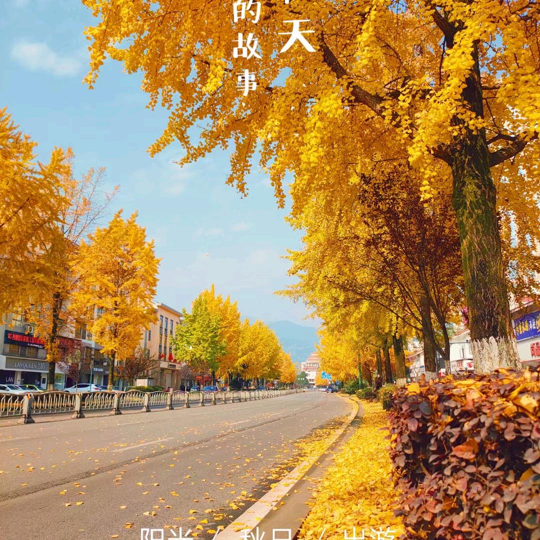 余生安好