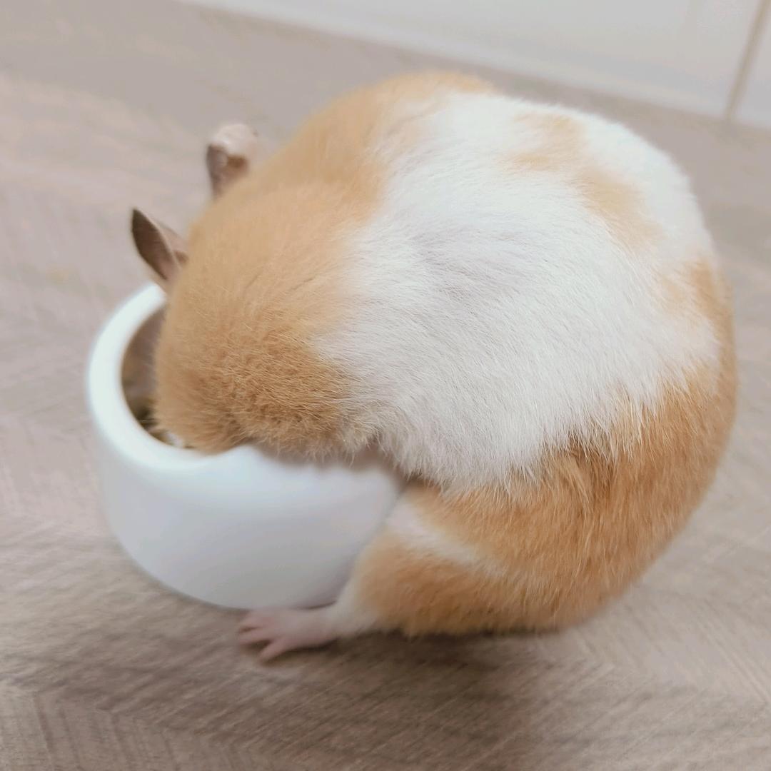 if