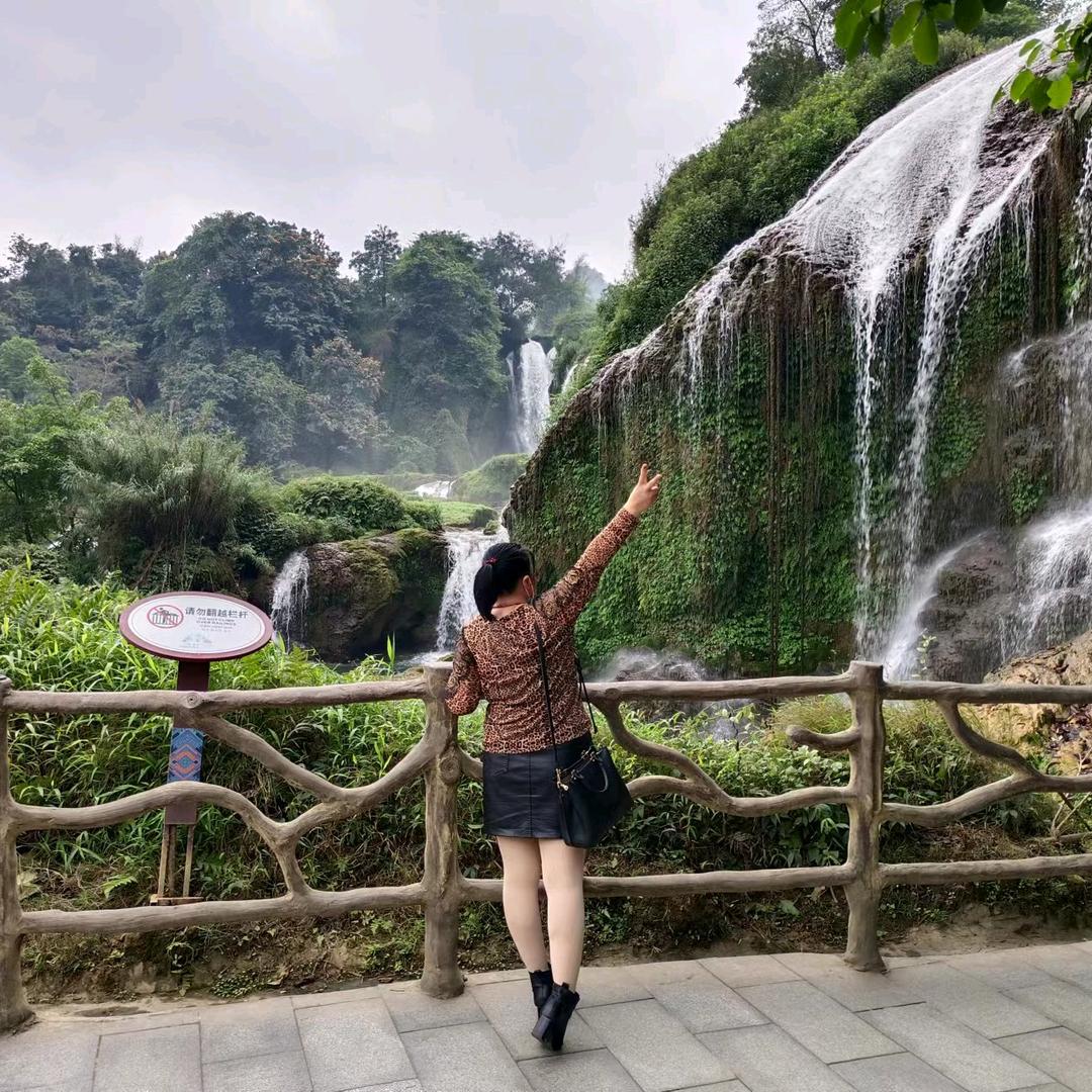 小表妹代办各种水果行业