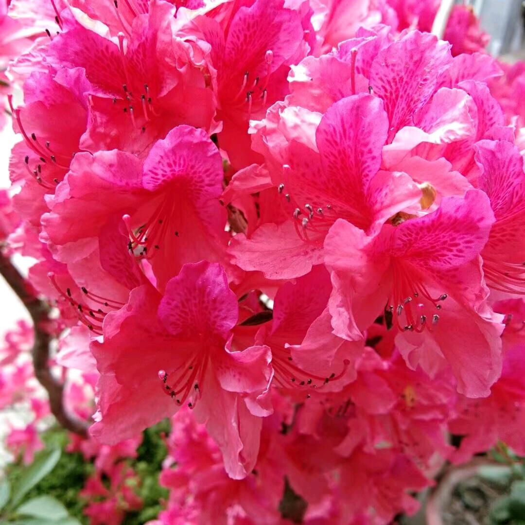 雨后彩虹m