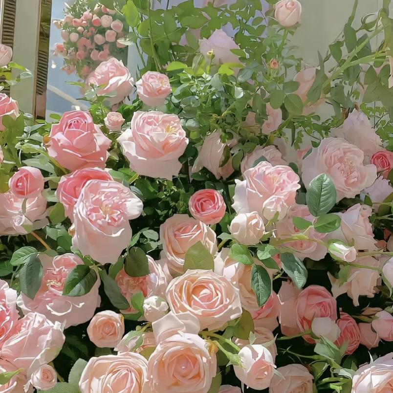 花在春天开，拒绝私聊