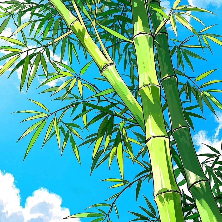 灵竹