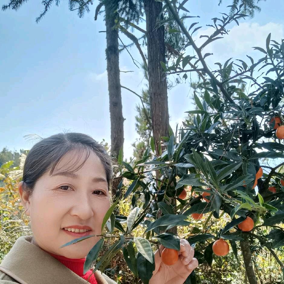 冰心