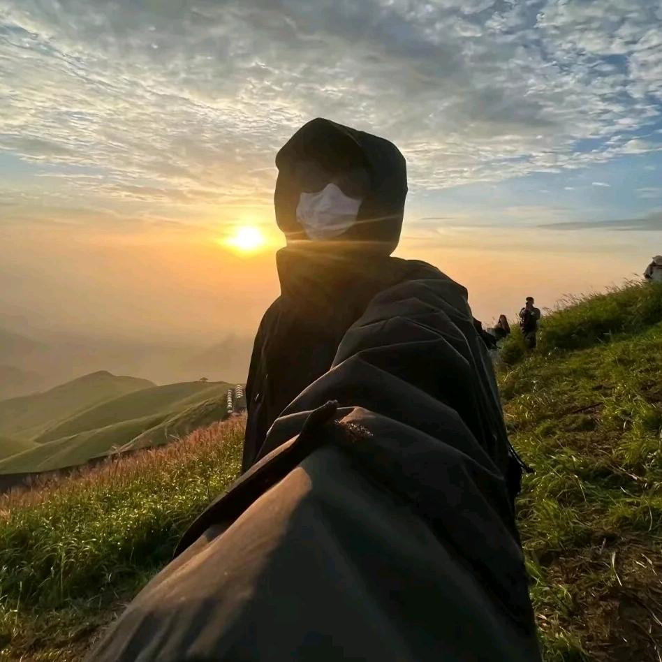 不吃香菜的王先生