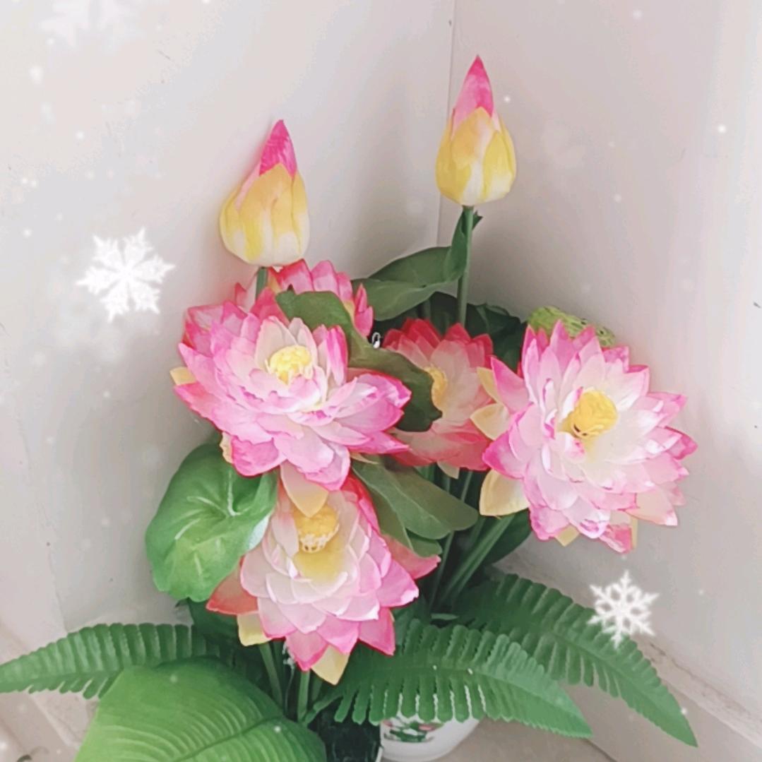 时来运转
