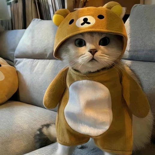 蛙蛙莹