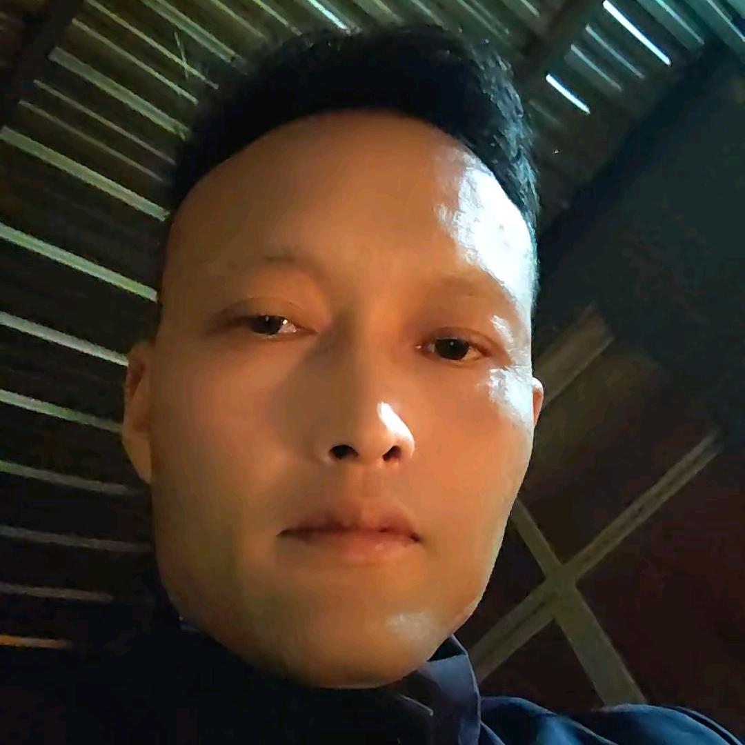 专业画大饼