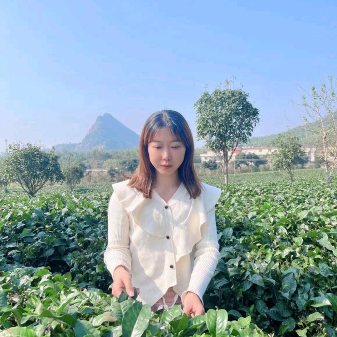 英德尚源茶业 何小姐