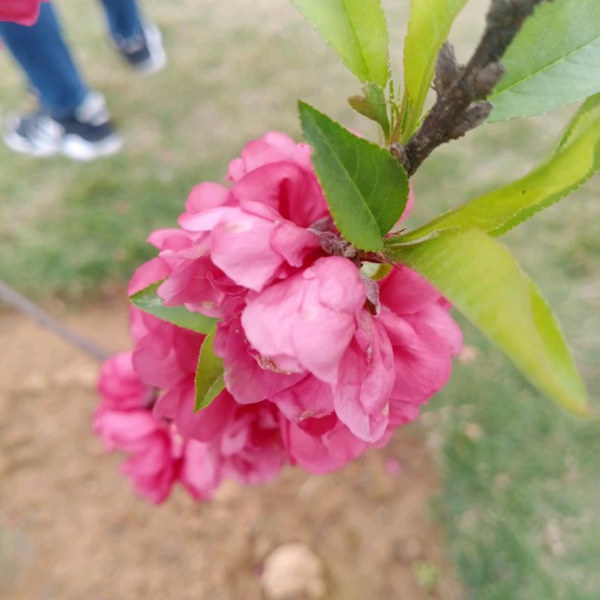 新的一天