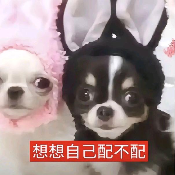 好人潇洒哥