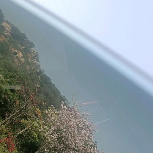 木孑