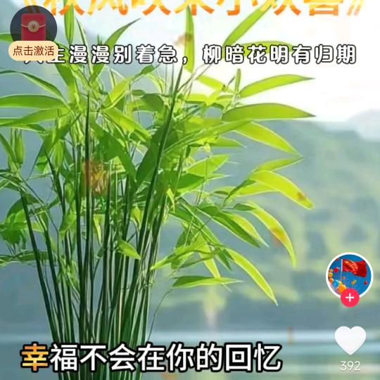 🍒回眸一笑🍒