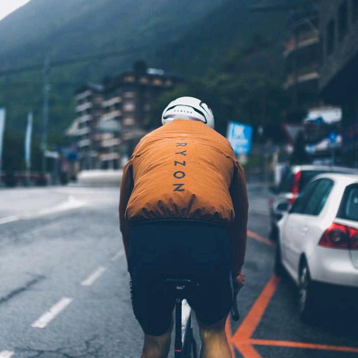 五香鱼