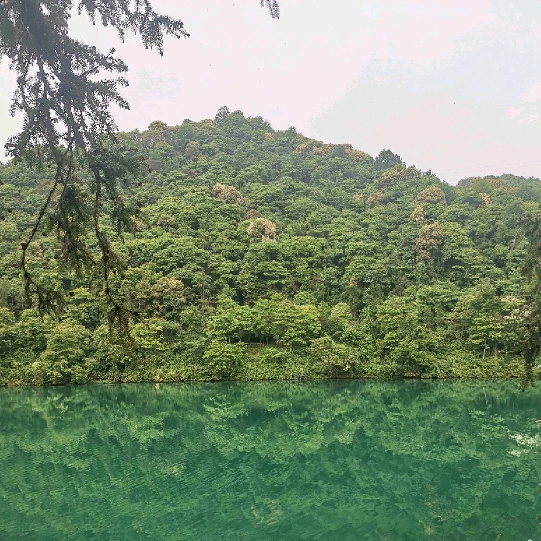 @阳光明媚