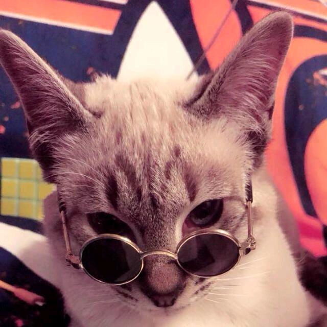 学中医的设计师