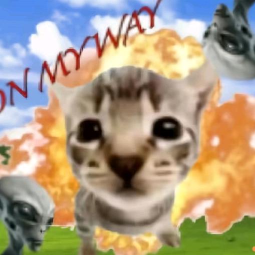 薛定谔的猫