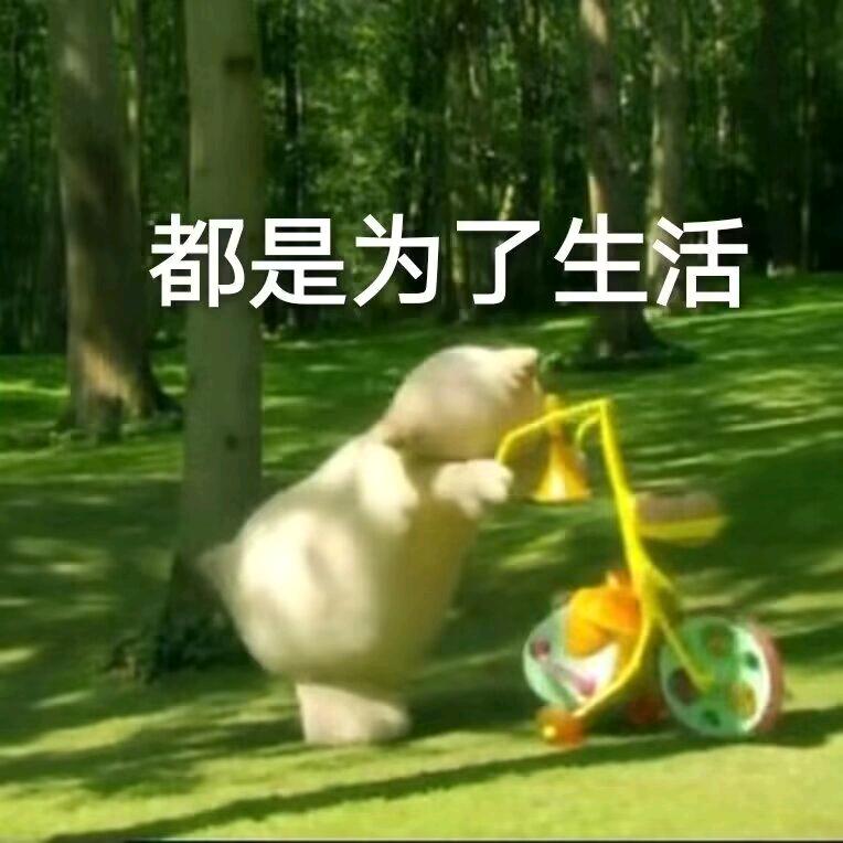 Cf爱吃春卷（免费上号）